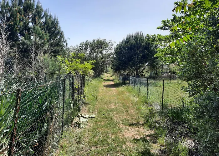 Neuf Et Climatise, 4 Personnes, A 150m De La Daire *